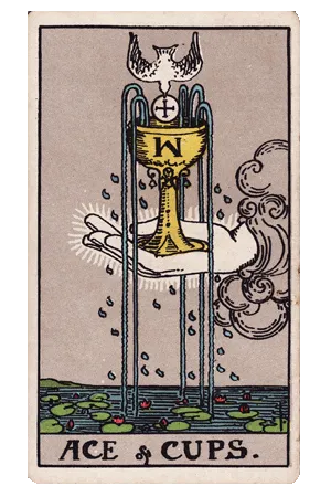 Ace of Cups (Ace Cúp)